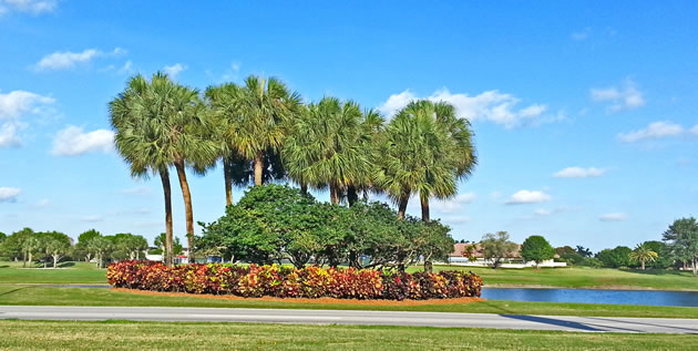 Web Design for Florida Landscaping Company